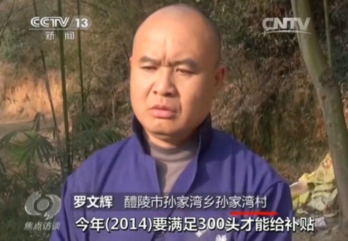 央視再曝補貼黑幕：咱養(yǎng)豬人拿補貼咋那么難？
