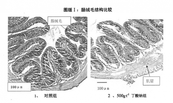 對(duì)不同類型丁酸鈉的一些思考
