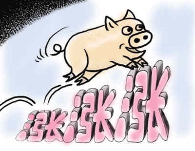 2015豬價(jià)無憂 再漲300元？有可能