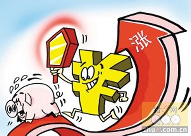 豬價即將全面破8！奔9？真的有望