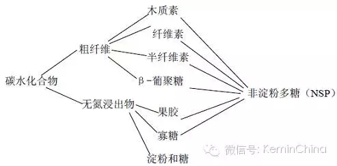 陳清華：飼用酶制劑的精準分類與功能