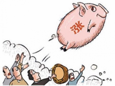 欄里有豬就是幸福的！預(yù)測國慶后將達(dá)到本輪最高點!