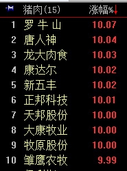 豬肉概念.jpg