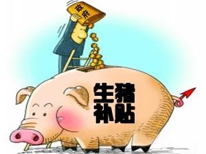 一項生豬補貼令廣東8縣畜牧局長紛紛落馬