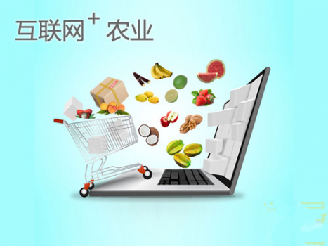 中央一號(hào)文件或給農(nóng)村電商派發(fā)紅包