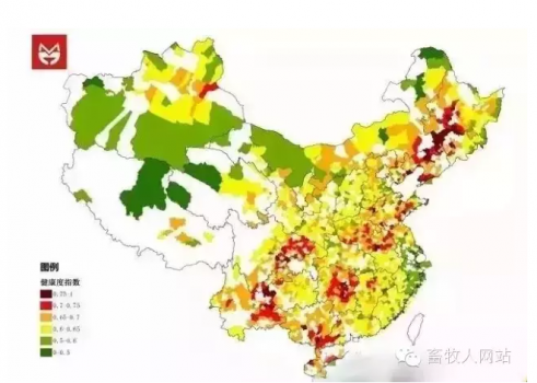 全國養(yǎng)豬100強(qiáng)縣公布，遼寧省包攬16個名額 5省無一上榜