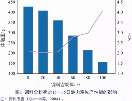 圖11.webp.jpg