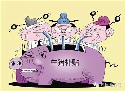 廣東2015年查辦涉農(nóng)犯罪1277人 生豬補(bǔ)貼被占逾6千萬(wàn)