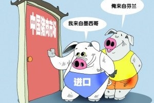 2015年山東口岸進(jìn)口豬肉5.5萬噸 價(jià)值7.2億