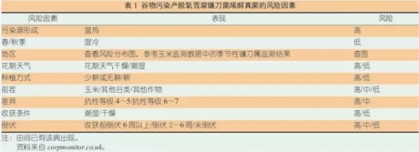 梅毒1.webp.jpg