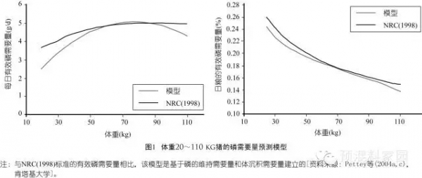 元1.webp.jpg