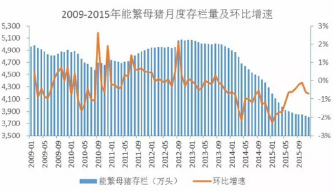 數(shù)字背后：2015年我國生豬出欄70825萬頭意味著什么？