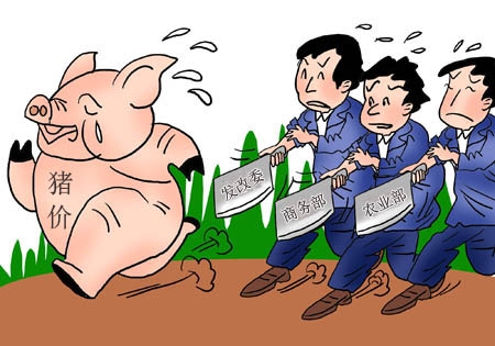 此番豬價(jià)大漲 政府到底會(huì)不會(huì)出手調(diào)控？