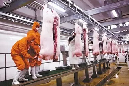 飼料、養(yǎng)豬、收購、屠宰…… 到底誰賺得多？