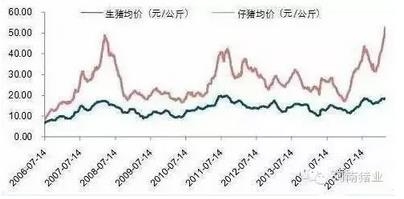 “千元仔豬”出現(xiàn)的3個原因，“罪魁禍?zhǔn)住本故撬? width=