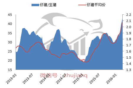 2016年首次“沖十”失??！本周豬價何去何從？