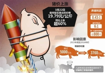 進(jìn)口豬肉便宜一半 國(guó)產(chǎn)豬肉還能飛多久？