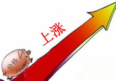 豬源是有多緊張？跟著央視看一個豬販的艱難收豬路