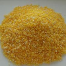 細(xì)磨玉米可降低飼料成本