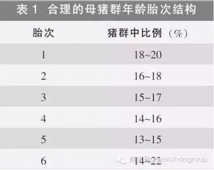 母1.webp.jpg