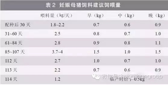 母2.webp.jpg