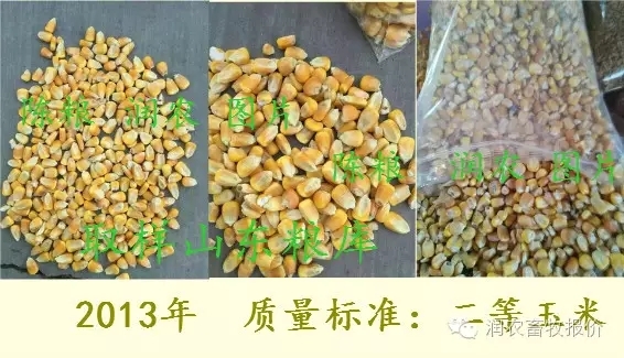 新鮮玉米與陳玉米質(zhì)量區(qū)別