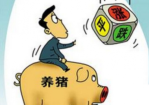 央視：6月了，豬價(jià)還能繼續(xù)漲嗎？
