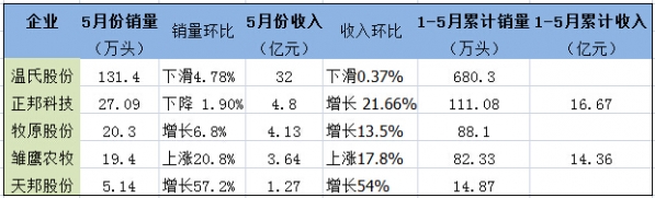 5月生豬銷售，誰是冠軍？溫氏、牧原、雛鷹農(nóng)牧、正邦、天邦......