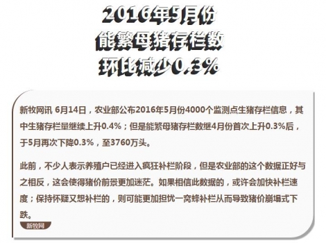 能繁母豬存欄數未升反降至3760萬頭，高豬價或能維持更久