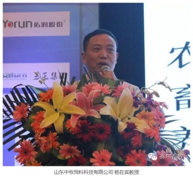 楊在賓教授---豬常規(guī)營養(yǎng)素認(rèn)識與其功能性的再認(rèn)識