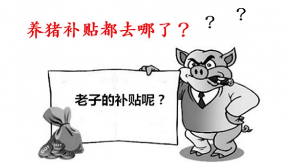 養(yǎng)豬補(bǔ)貼被誰(shuí)領(lǐng)了？