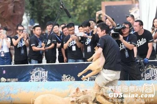 畫面太美！國(guó)民老公王思聰和30位美女下泥潭抓豬
