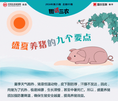 一張圖告訴你盛夏養(yǎng)豬的九個(gè)要點(diǎn)