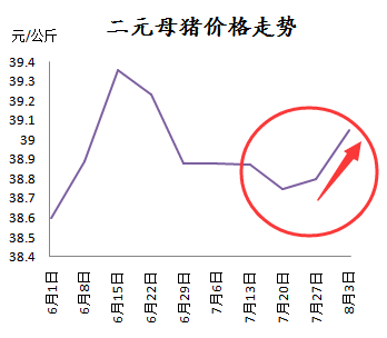 二元母豬仍在漲，這是后期仍要看好的節(jié)奏？