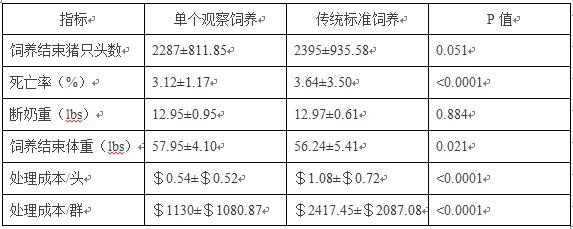 豬33.jpg
