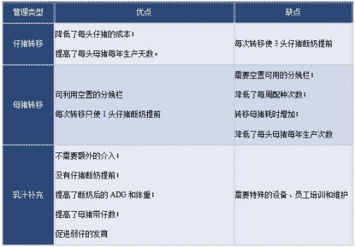 豬94.jpg
