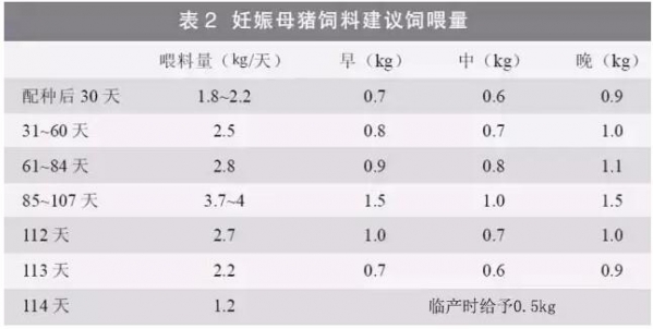 提升母豬年生產(chǎn)力的6大關(guān)鍵措施，想多生就得這么干