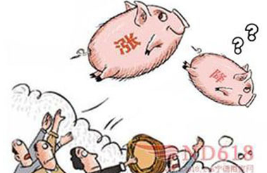 年前豬價(jià)到底是跌還是漲？到底誰說了算