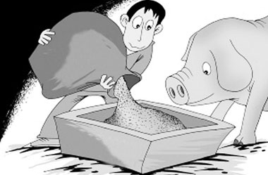 畜牧業(yè)以后工作的方向以及17年政策支持的重點