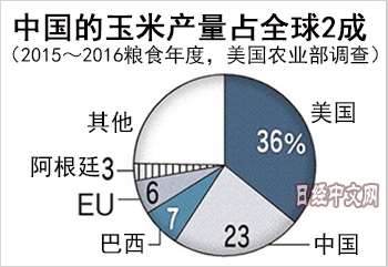 中國或時隔10年恢復(fù)玉米出口