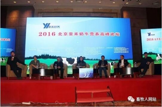 亞11.jpg