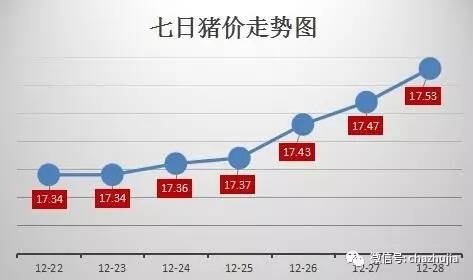 東北反彈 豬價(jià)持續(xù)上漲 金豬年即將畫(huà)上圓滿句號(hào)