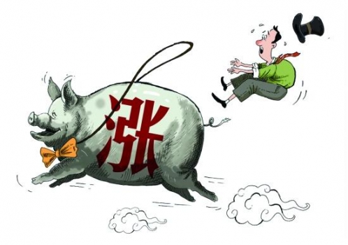 年前豬價何去何從？利空和利好因素將會有哪些變化？