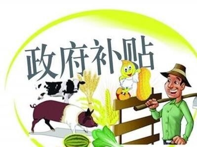 2017-2020年，國家扶持養(yǎng)豬政策將重點(diǎn)補(bǔ)貼這幾個(gè)方面