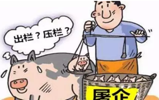 豬價(jià)暴漲暴跌，環(huán)保風(fēng)暴侵襲，如何養(yǎng)豬才能賺大錢？