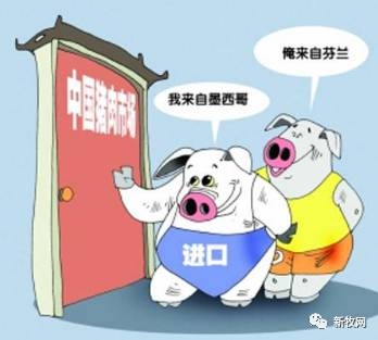 2016年進口豬肉數(shù)量同比增長108.4%??！進口豬肉均價6.5元/斤低于國內(nèi)生豬價