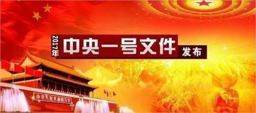 2017年中央一號文件正式公布