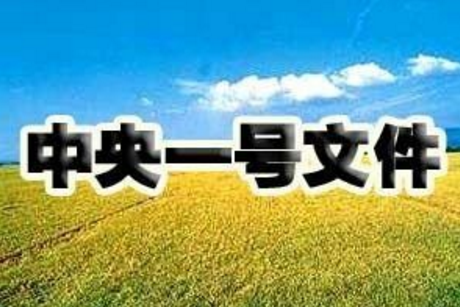 “一號文件”解讀，這6個和養(yǎng)豬人息息相關的點一定要知道