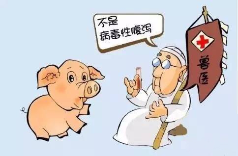 養(yǎng)豬對癥治療與對因治療有哪些不同？？？