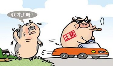 農(nóng)村散養(yǎng)戶還沒意識到的危險：養(yǎng)豬人還不進來看看？